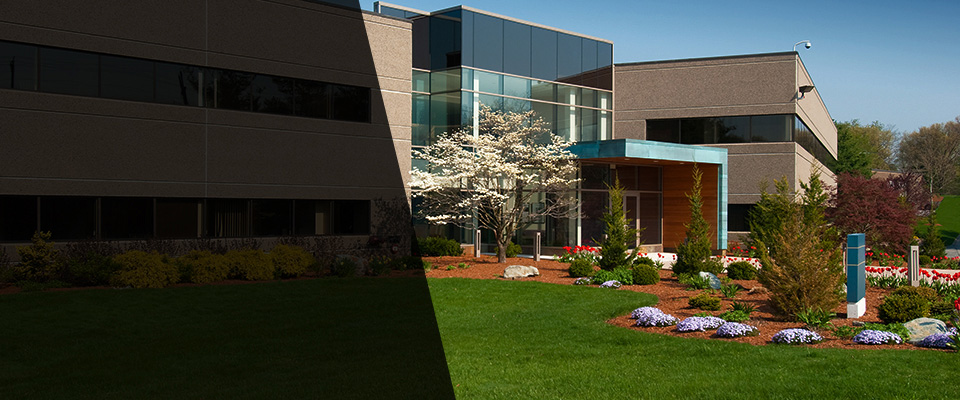 Montesano Landscapers