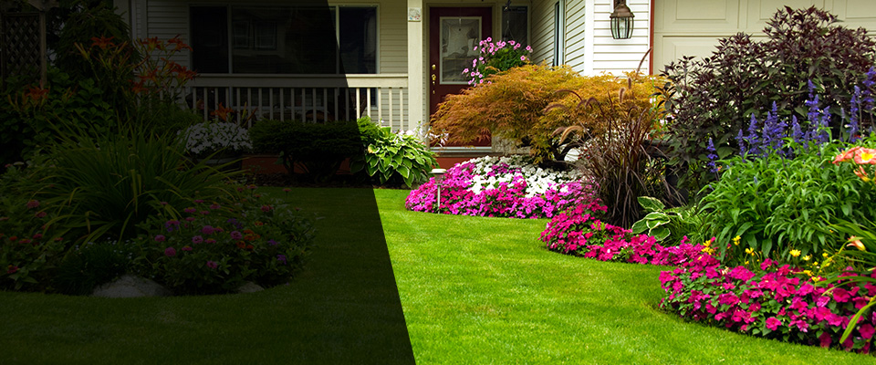 Montesano Landscapers