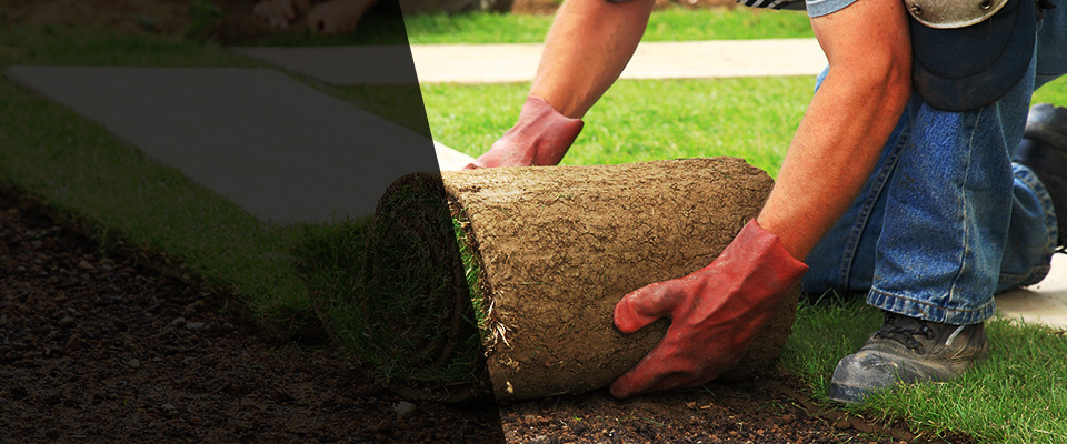 Montesano Landscapers